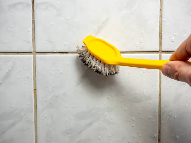 Best Mold Removal Near Me  in Balch Springs, TX