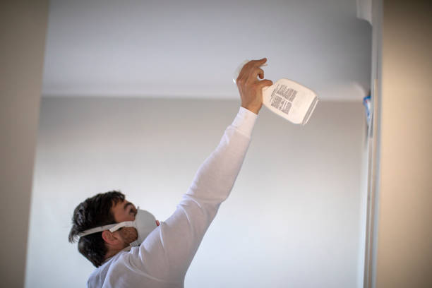 Best Mold Testing  in Balch Springs, TX