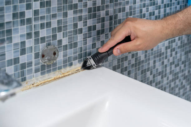 Best Professional Mold Removal  in Balch Springs, TX