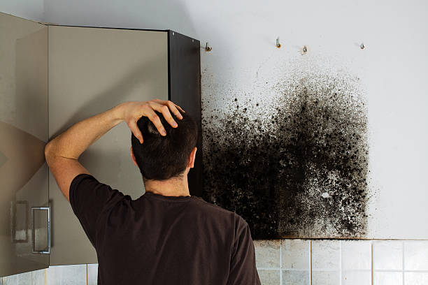 Water Damage Restoration in Balch Springs, TX